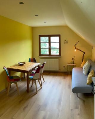 Neu renoviertes 2Zi Appartment im DG
