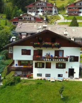 Cèsa Cherpei - Dog Friendly