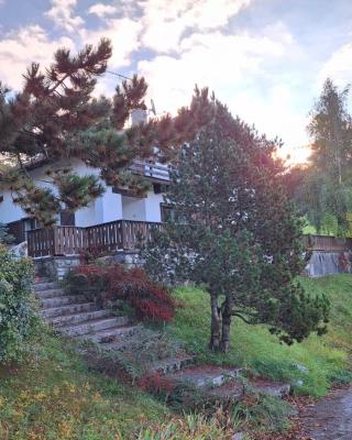La casa di nonno carlo