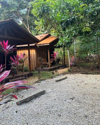 Finca Avellanas