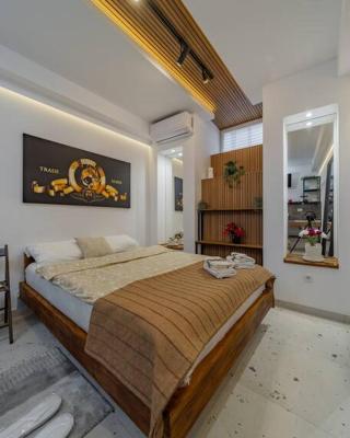 Keti Zemun Spa Apartment