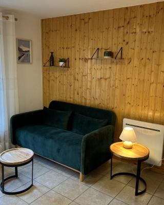 203- Residence des Neiges- 4 pers