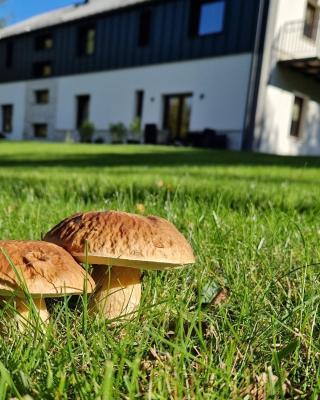 Willa Na Pstrążnicy
