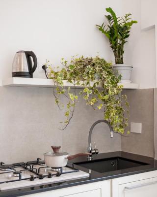 Biffi 2 - Garbatella Rooms