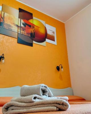 B&B Max