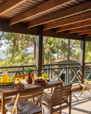 Platres Forest View Cottage