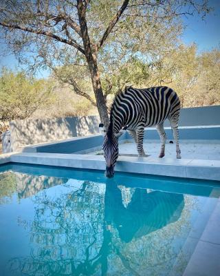 Krugers elegant escape The Kop