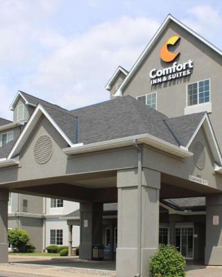 Comfort Inn & Suites St Paul Northeast