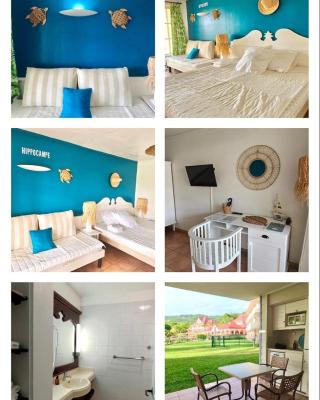 Studio Hippocampe P&V