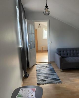 Hülgepesa