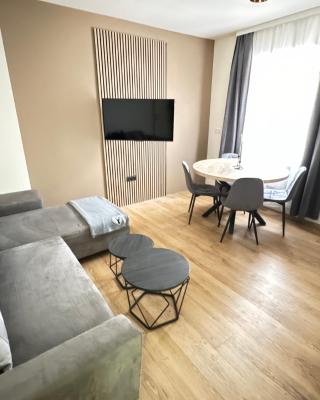 Alpin Apartments am Dorfbrunnen Steinach