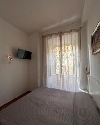 Don sweet home- Hedi 101