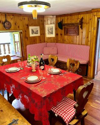 Cozy Three-Room Apartment with Mountain View & Parking - Ussin Chalet - Valtournenche