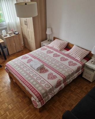 Room in Shared Apartment Geneva