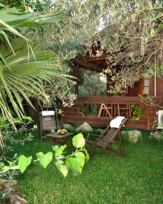 Spa Chalets In Olive Grove
