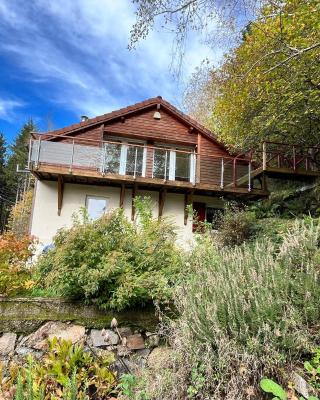 Chalet des roches - Plainfaing