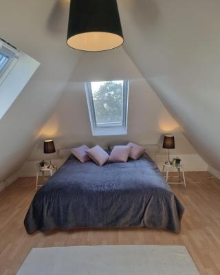 CPH V home