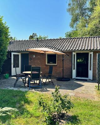 Achterhoekhuisje De Rode Beuk