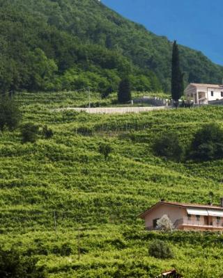 Agriturismo B&B Casa Bortolin