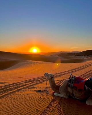 Merzouga Wildlife Desert Camp