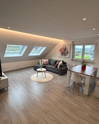 Schöne, neu renovierte Wohnung