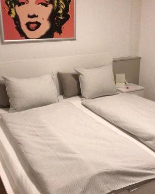 Kleine feine Wohnung Gmunden City