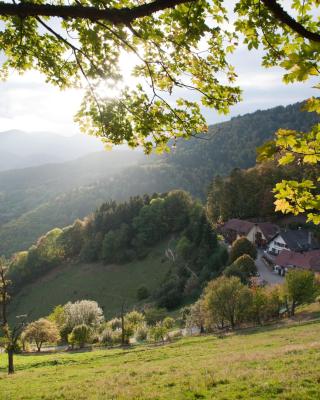 Auberge Du Mehrbachel