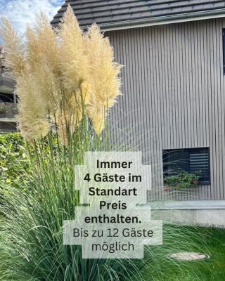 Ferienhausträume Oase Bodensee