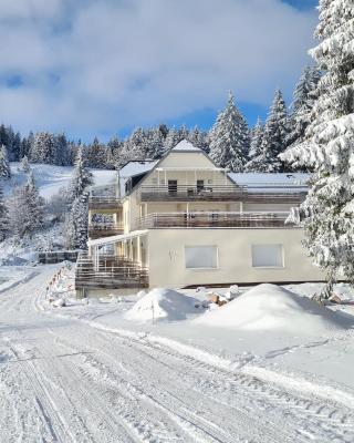 bel appartement 3 pièces dans la Résidence Vosges-Alsace Orbey