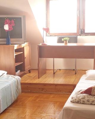 Hakuna Matata - Room in Budapest - Near Buda Castle, Parliament and Margaret Island