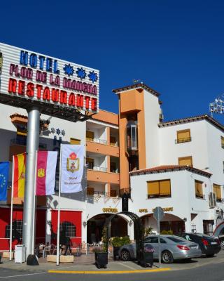 Hotel Flor de la Mancha