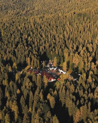 Forest Camp Val di Gresta