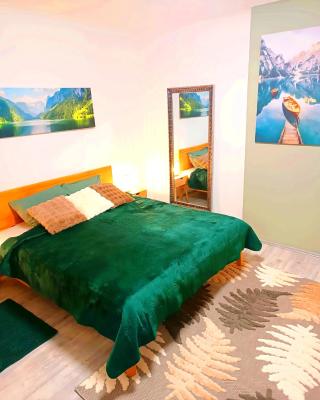 Family Apartments 2 room's centre Mürzzuschlag