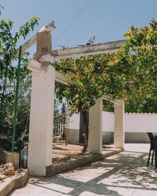 La huerta de Carmen
