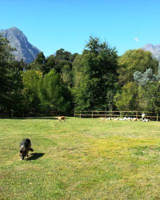 Glasshouse In The Winelands