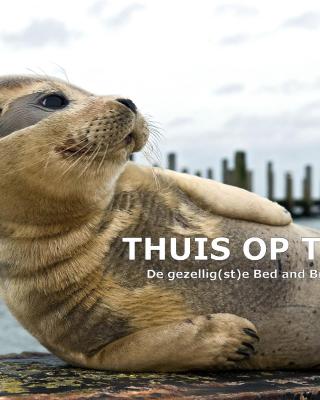 Thuis op Texel