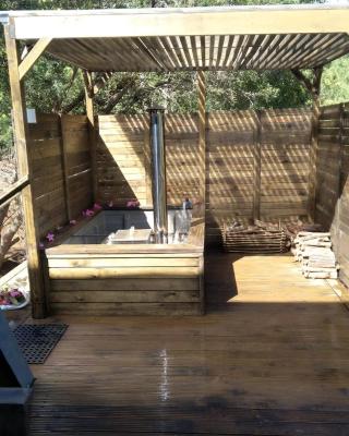 Treehaven Retreat