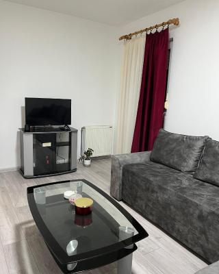 Apartman Gajić