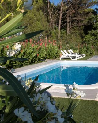Guest house LUCIJA with swimming pool