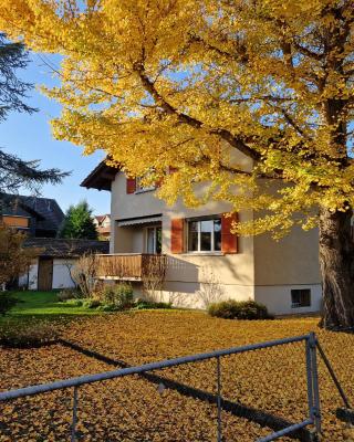 Swiss Chalet direkt am Thunersee