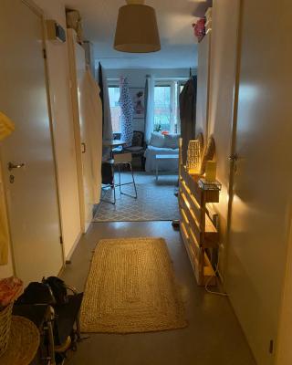 Central cozy accommodation, single room or bed in dormroom