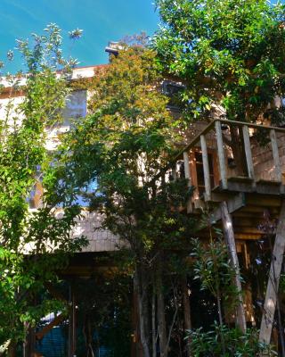 La Casa Del Árbol De Chiloé