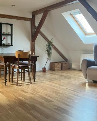 Apartmán MUV