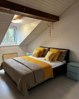 Casa Styner