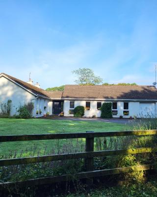 Beech lodge