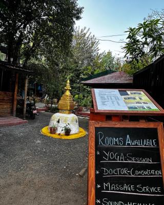 Institute Of Natural Medicine , Yoga & Therapy home