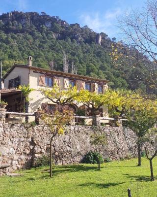 La Calma Montblanc Prenafeta