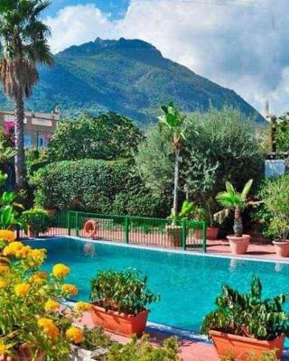 Junior Hotel Village