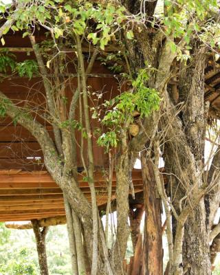 Habarana Wildwood Treehouse