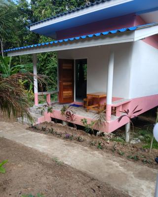 Pineapple gardens